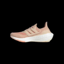 adidas Ultraboost 21