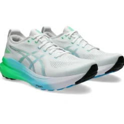 Asics Gel-Kayano 31