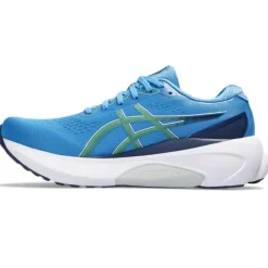 Asics Gel-Kayano 30
