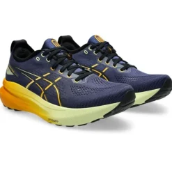 Asics Gel-Kayano 31