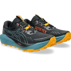 Asics Gel-Trabuco 13 GTX