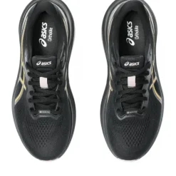 Asics GT-1000 13 GTX