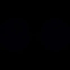 Blackroll Duoflex 12