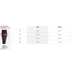 Compressport R2 Aero