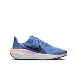 Nike Air Zoom Pegasus 41