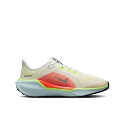 Nike Air Zoom Pegasus 41