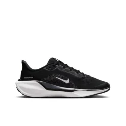 Nike Air Zoom Pegasus 41