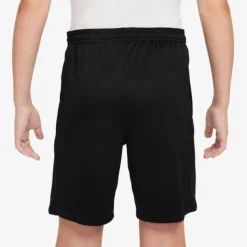 Nike Dri-FIT Trophy23 Shorts GX