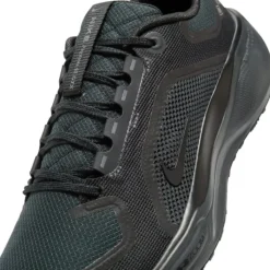 Nike Pegasus 41 Gore-Tex