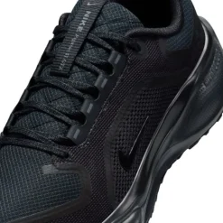 Nike Pegasus 41 Gore-Tex