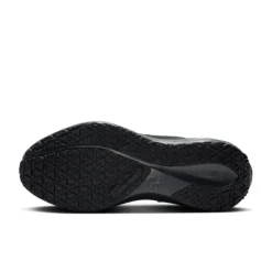 Nike Pegasus 41 Gore-Tex