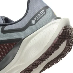 Nike Pegasus 41 Gore-Tex