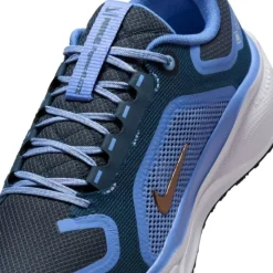 Nike Pegasus 41 Gore-Tex