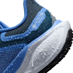 Nike Pegasus 41 Gore-Tex