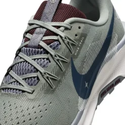 Nike Pegasus Trail 5