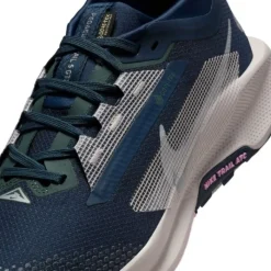 Nike Pegasus Trail 5 Gore-Tex