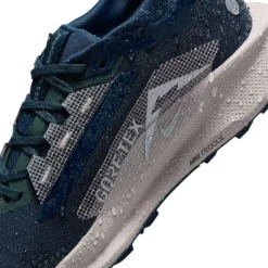 Nike Pegasus Trail 5 Gore-Tex