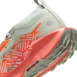 Nike Pegasus Trail 5 Gore-Tex