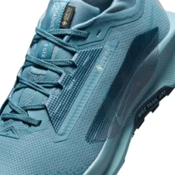 Nike Pegasus Trail 5 Gore-Tex