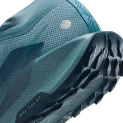 Nike Pegasus Trail 5 Gore-Tex