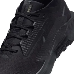 Nike Pegasus Trail 5 Gore-Tex
