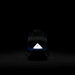 Nike Winflo 11 Gore-Tex