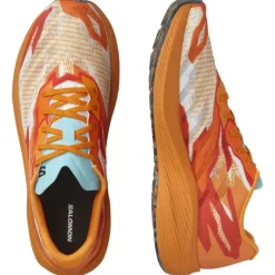 Salomon Aero Volt