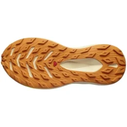 Salomon Glide Max TR