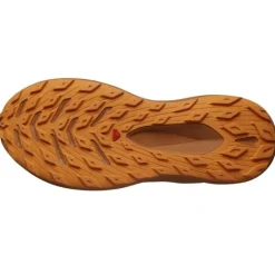 Salomon Glide Max TR