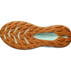 Salomon Glide Max TR