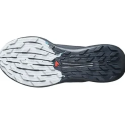 Salomon Pulsar Trail Pro 2