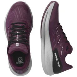 Salomon Spectur