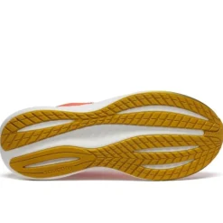 Saucony Triumph 22